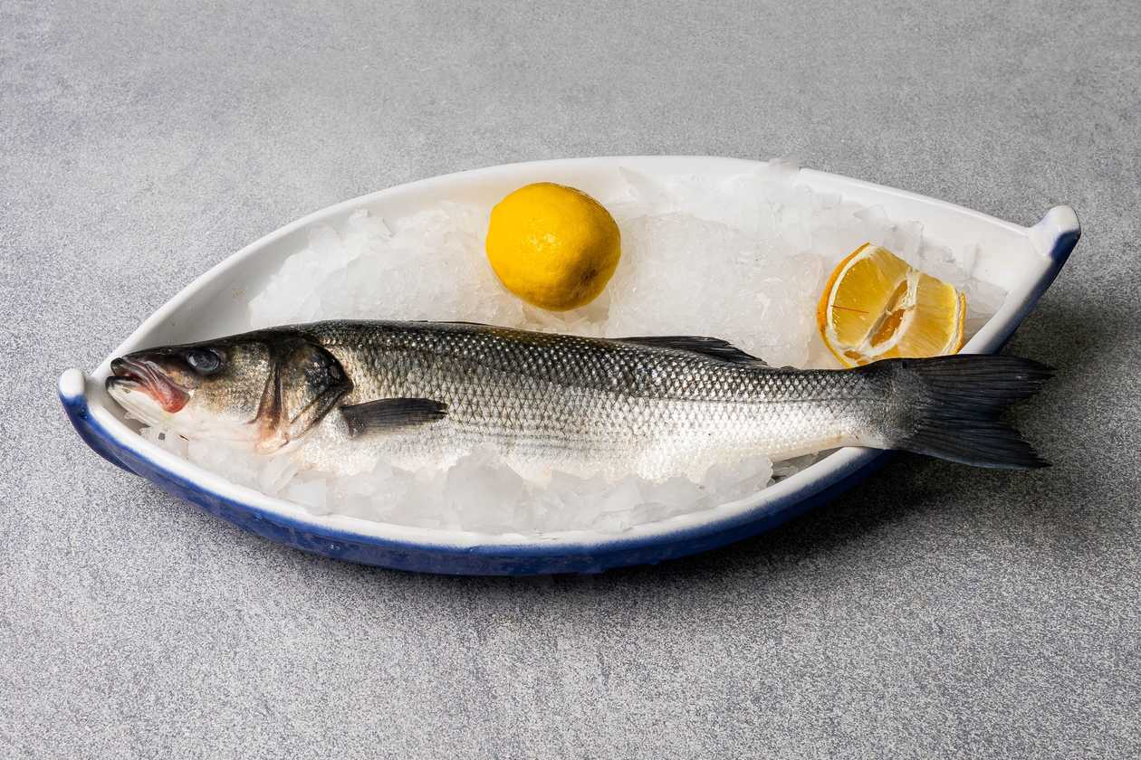 Farm sea-bass