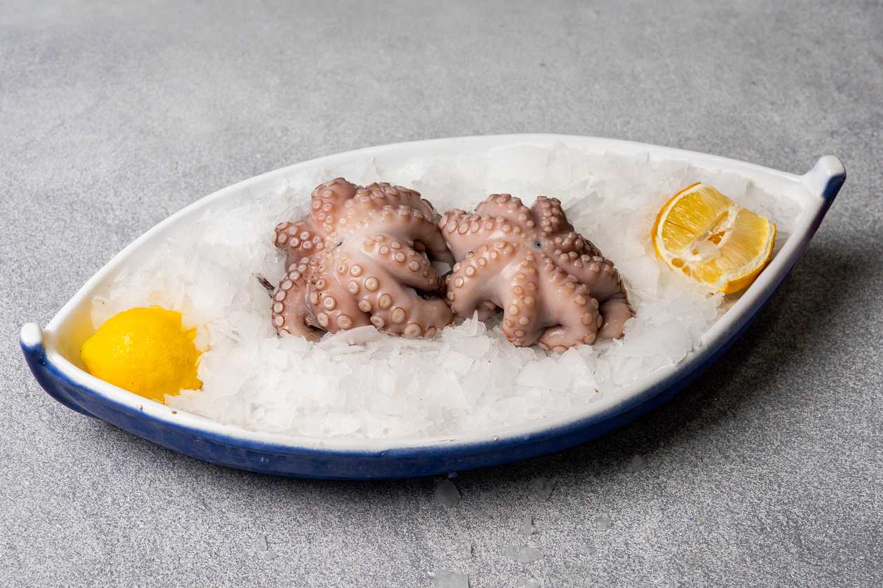 Octopus