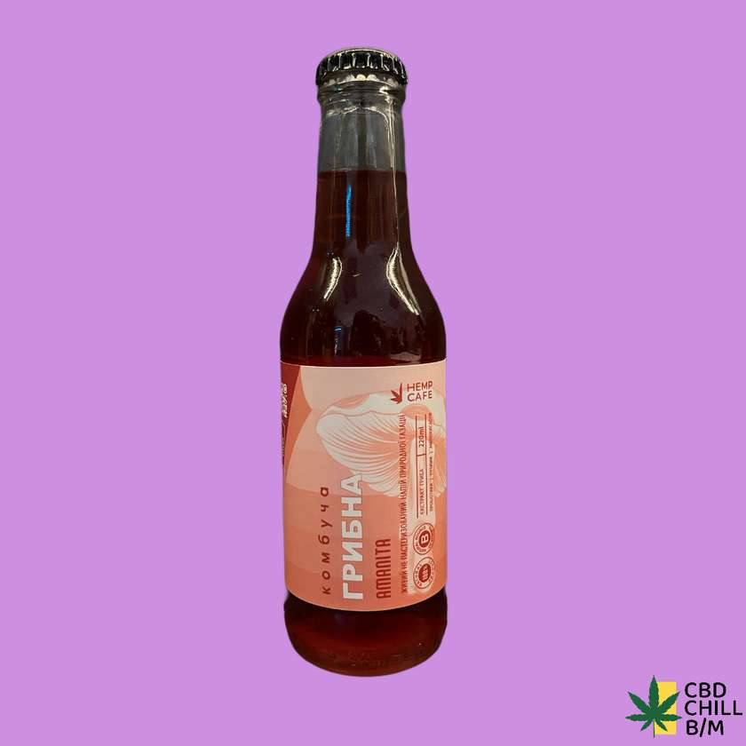 Fly Agaric Kombucha (1 gram) 200 ml