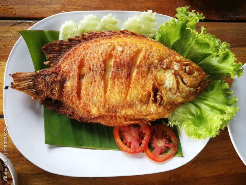 FISH PROMO