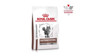 Royal Canin Gastro Intestinal Moderate Calorie Cat, 2 kg