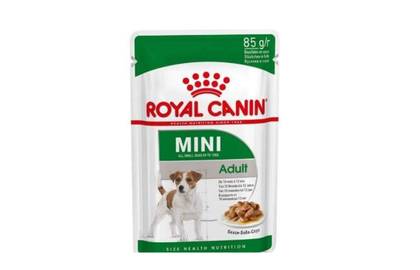 Mini Adult Dog