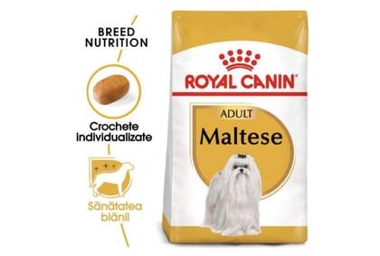 Royal Canin Bichon Maltese-Adult