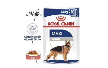 Royal Canin Maxi Adult Gravy Large Adult Dogs