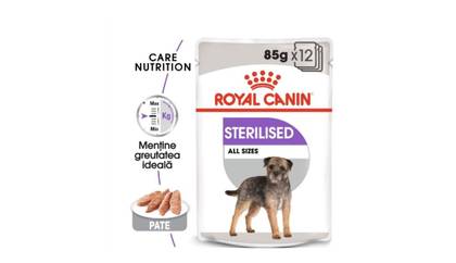 Royal Canin Sterilised Adult, Sterilized Wet Dog Food (Pate) 85g