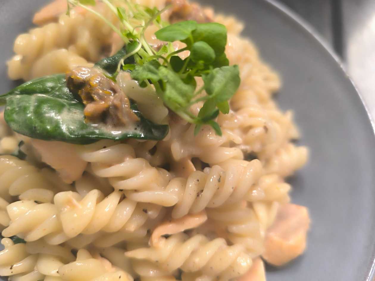 Rotini Pasta with Salmon