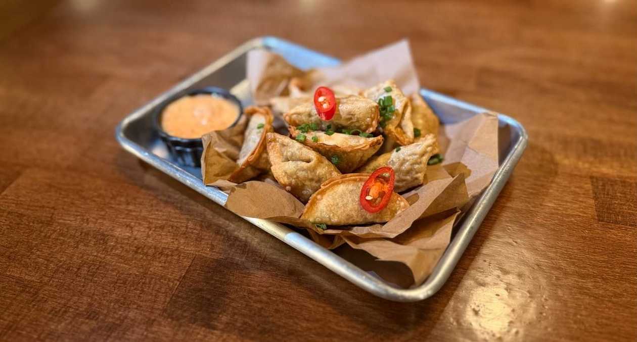 Pan-Fried Gyoza