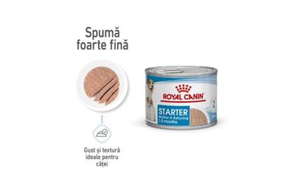 Royal Canin Starter Mousse, Mother and Chicken, Moist Dog Food 195 G