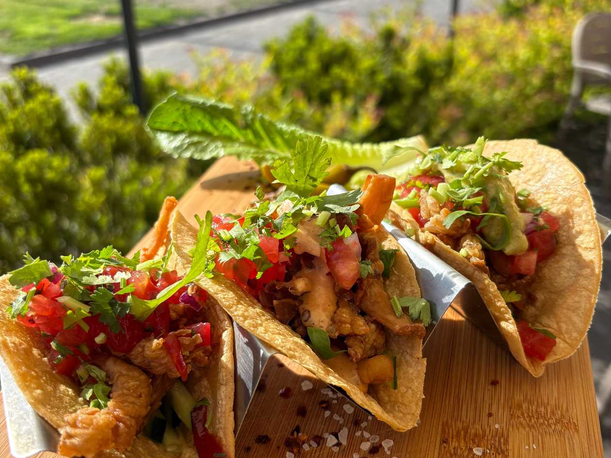 Vege taco