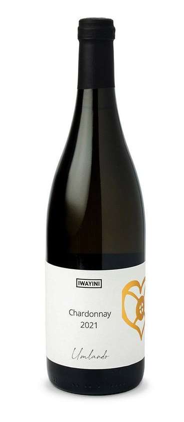 Chardonay 2021 suché