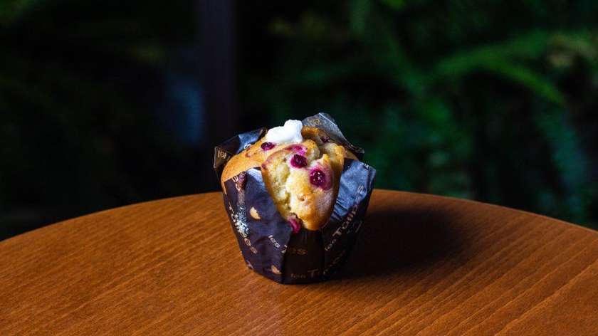 Blueberry Muffin