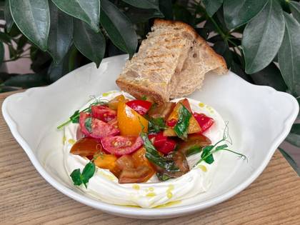 Cream cheese mousse with tomatoes and roasted peppers