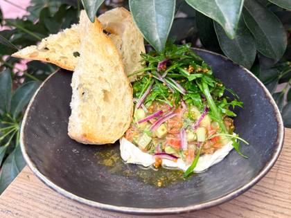 Salmon tartare