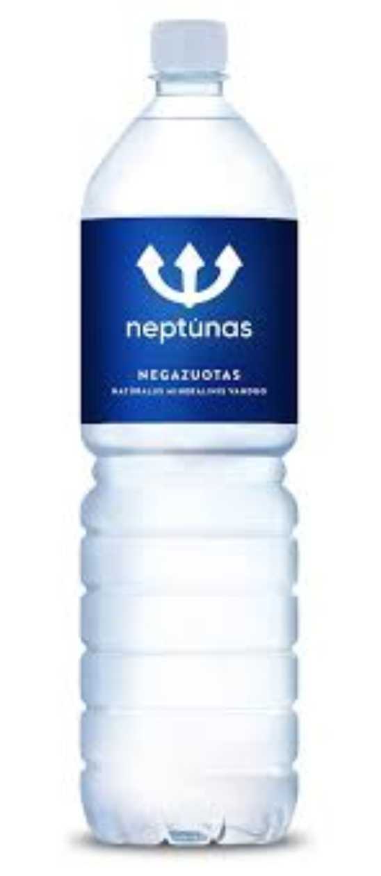 NEPTŪNAS Mineral Water (still) 500 ml