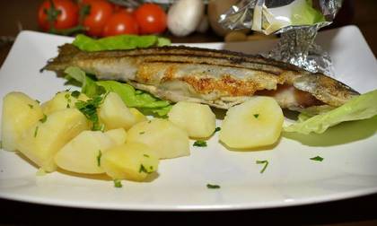 Pastrav la gratar cu cartofi natur