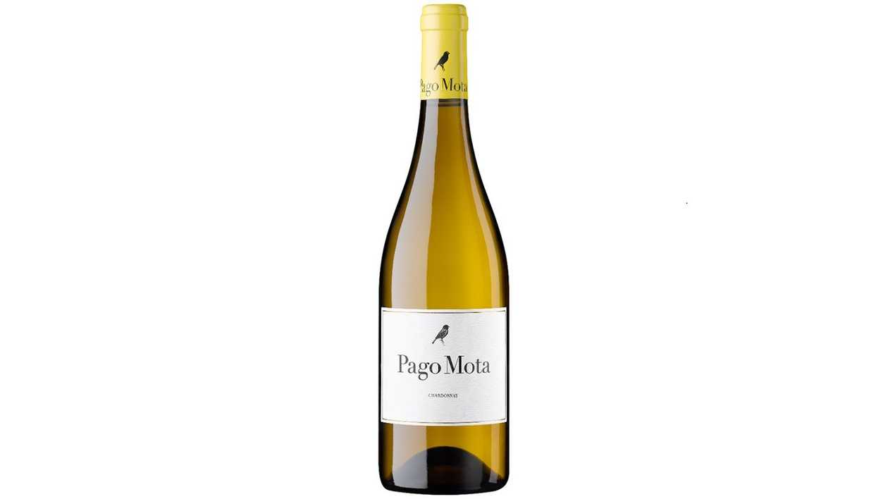 Bodegas Arzuaga Pago Mota 2023, Spain
