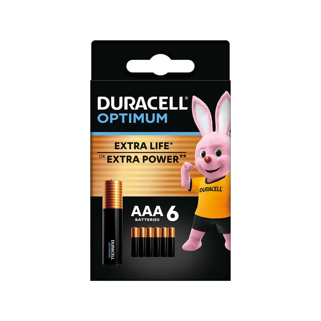 Duracell, Battery Basic AAAK6