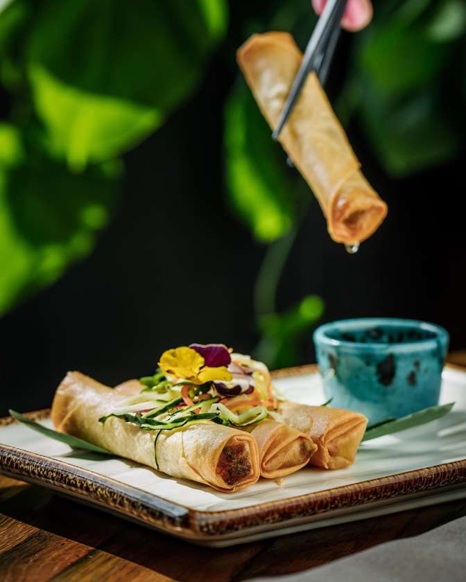 ХРУСТКИЙ НЕМ З КУРКОЮ ТА КАЛЬМАРОМ 4ШТ