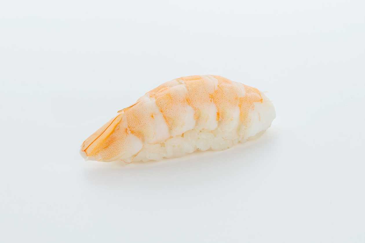 Nig805 Shrimp Nigiri