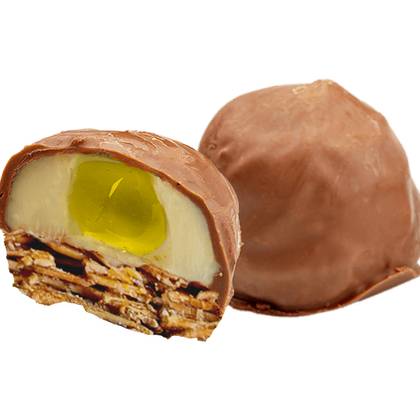 Florentines with lemon puree and milk chocolate coating