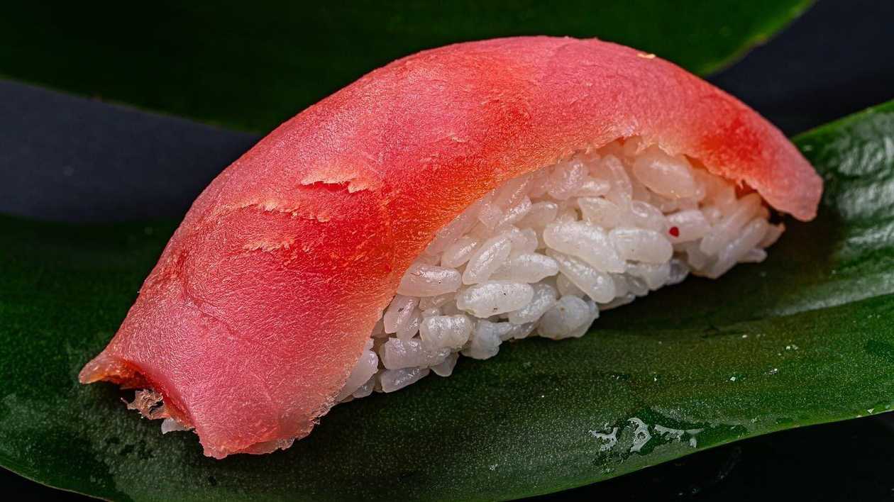 Tuna Nigiri