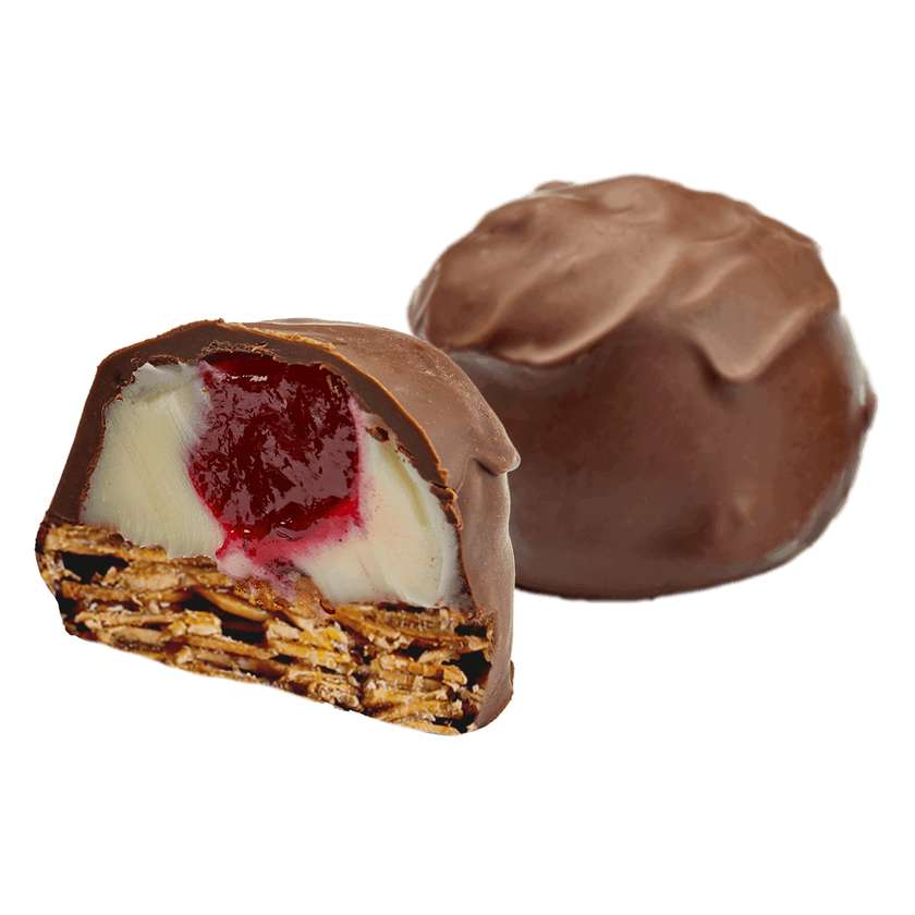 Florentines with cherry puree and dark chocolate coating