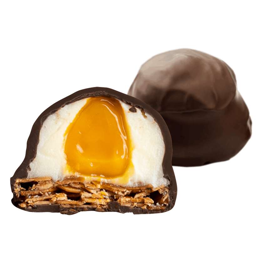 Florentines with orange puree and milk chocolate coating