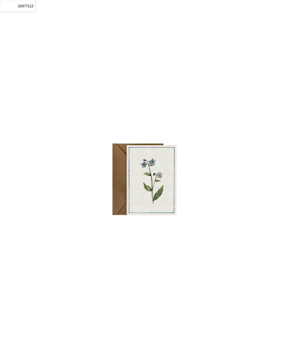 A6 Blank Card Borage