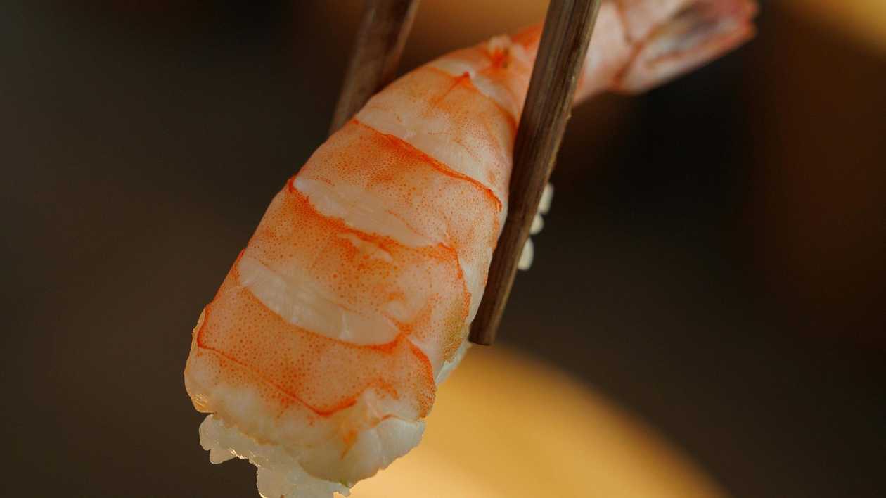 Shrimp Nigiri
