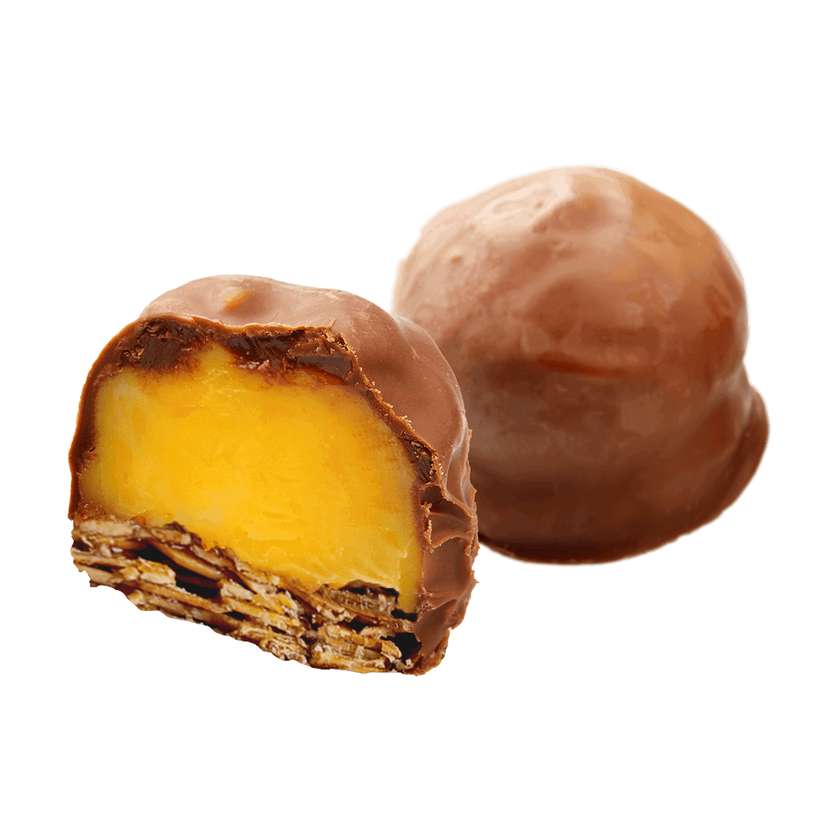 Florentines with biscuit-flavored cream and milk chocolate coating
