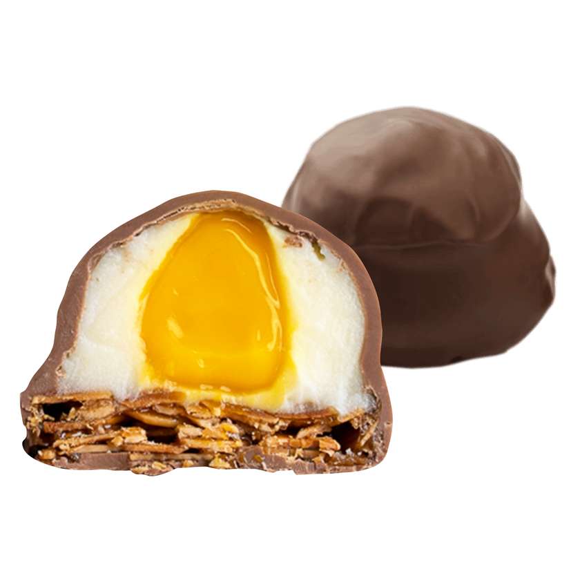 Florentines with mango puree and milk chocolate coating