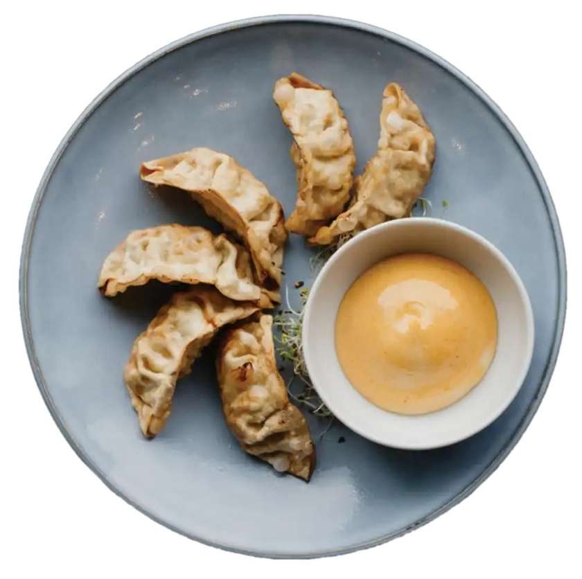 Gyoza