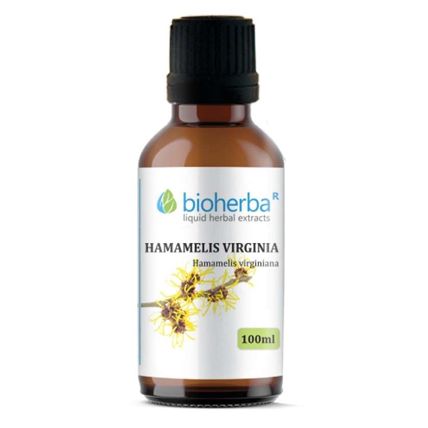 9993124 Hamamelis Virginia Tincture, 100 ml, Bioherba