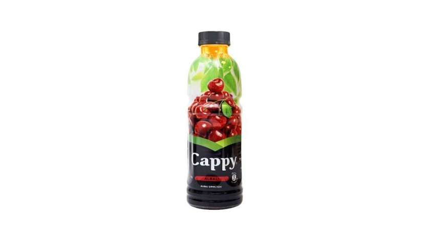Cappy Albalı 500ml