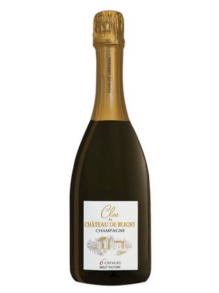 Clos du Chateau de Bligny