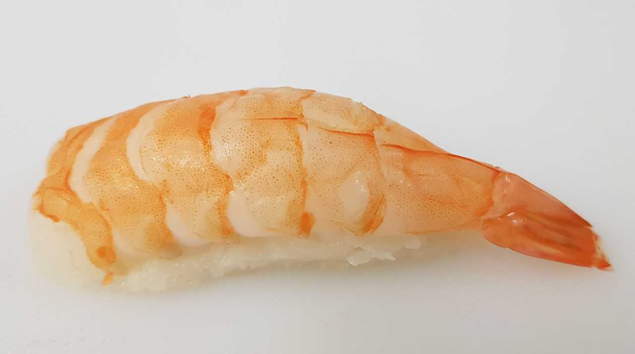 N3 Shrimp Nigiri