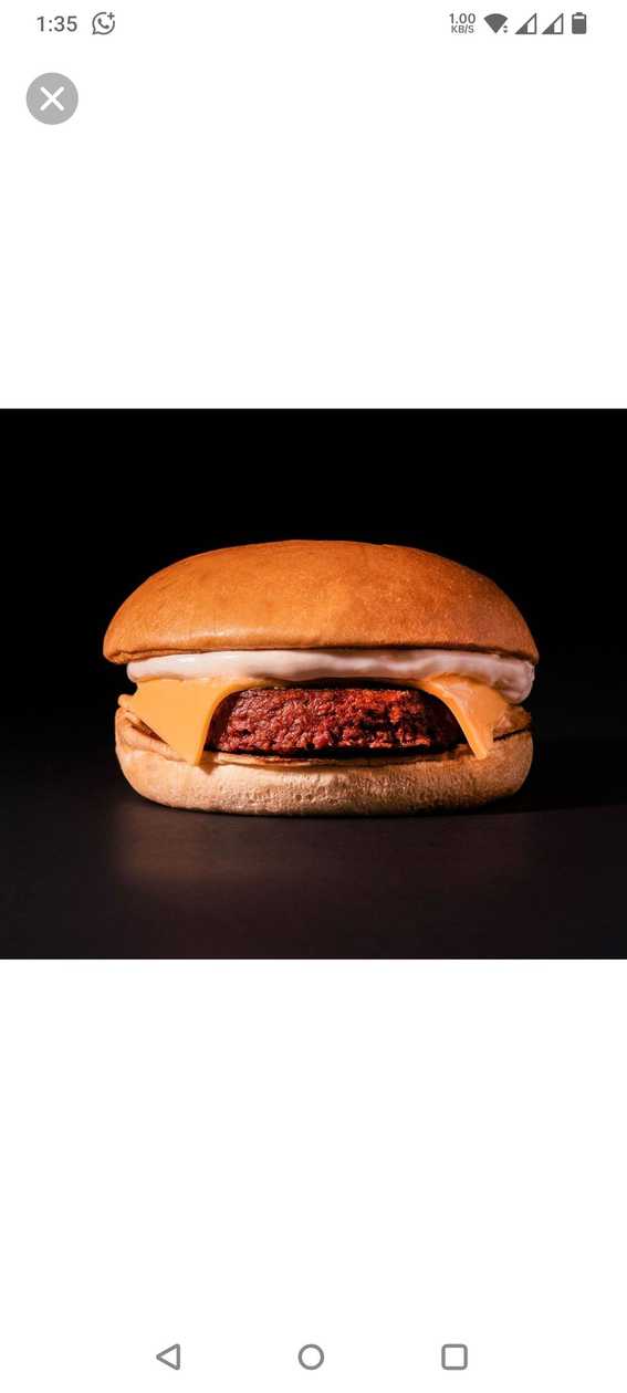 Harare Burger