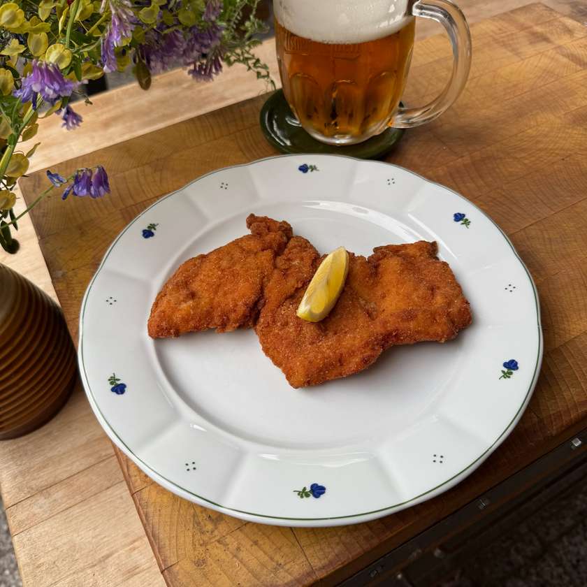 Fried chicken schnitzel, fries