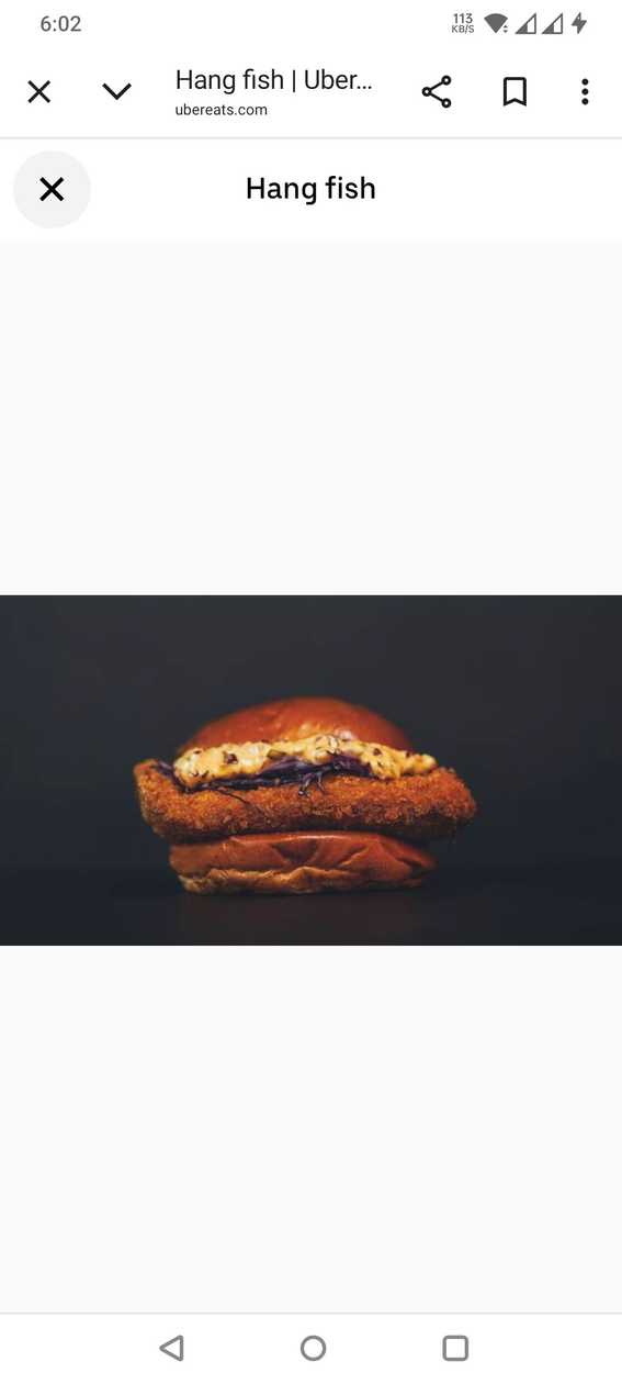 São Paulo Burger-sem carne