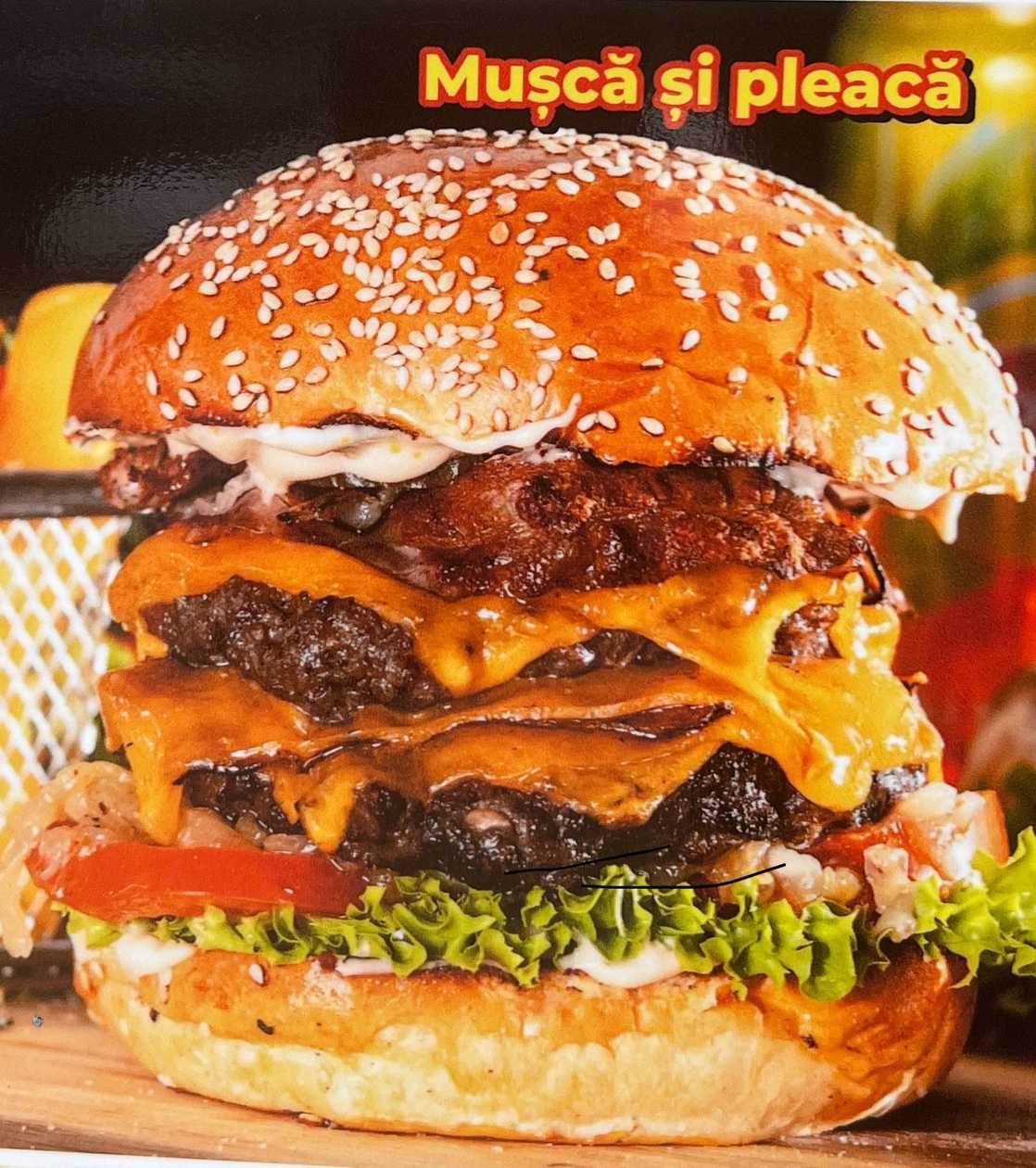 Mușcă și pleacă