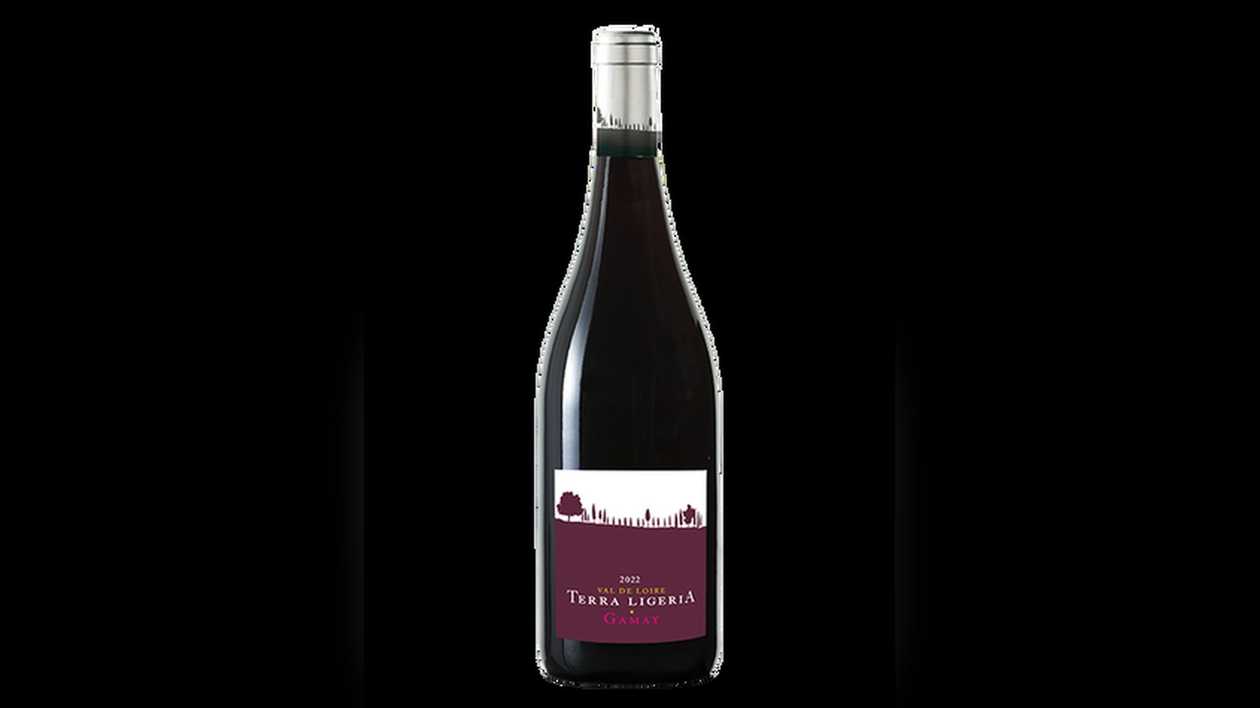 Ch Du Bois De La Garde 2019ac 14.5% 750ml