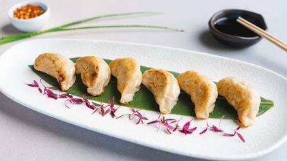 Gyosa Dumplings