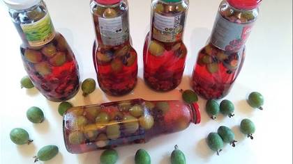 Assorted Compote 1 lt