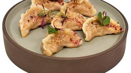 Gyosa Dumplings