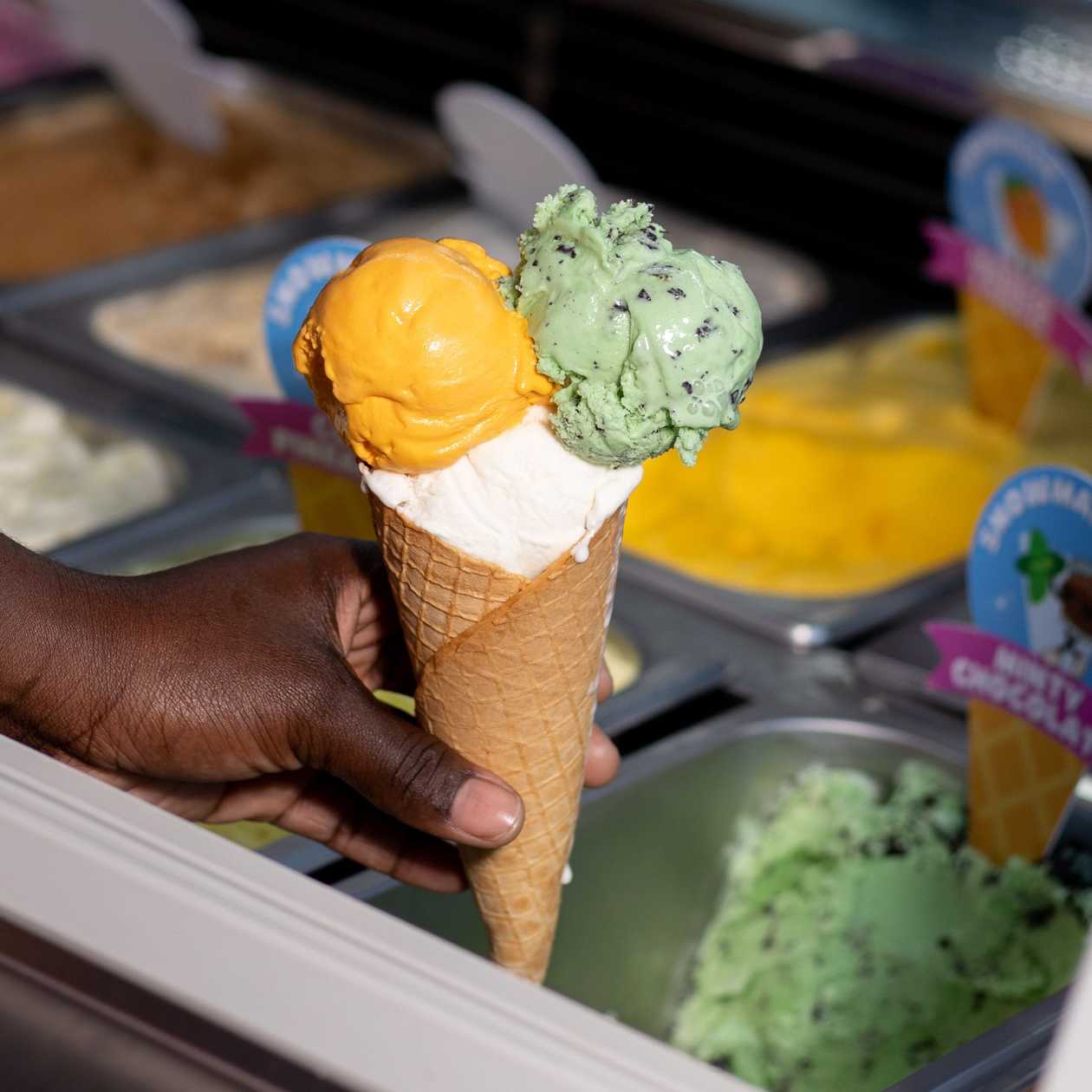 3 Scoop