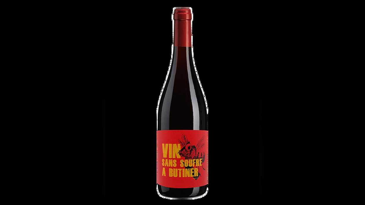 Vin Sans Soufre Butiner 2022ac 13% 750ml