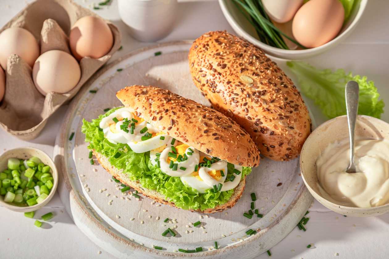 Egg Sandwich