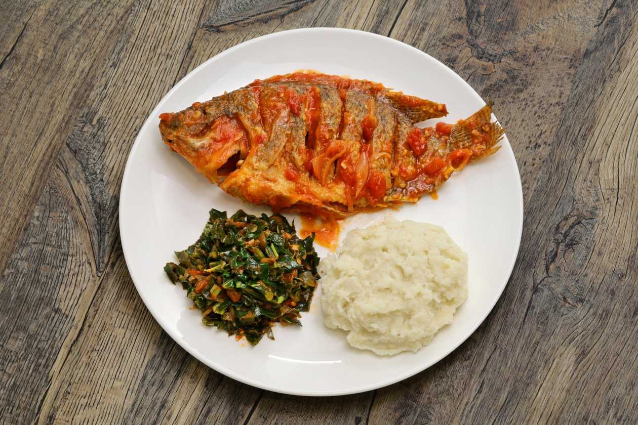 Wet Tilapia