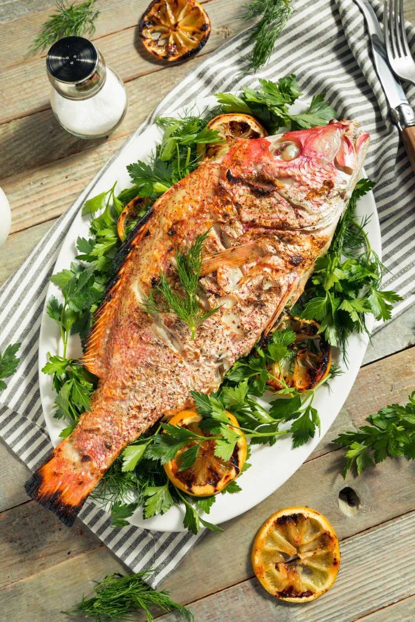 Grilled Red Snapper