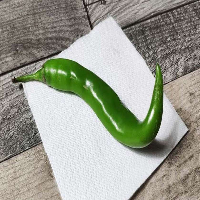 Hot Pepper